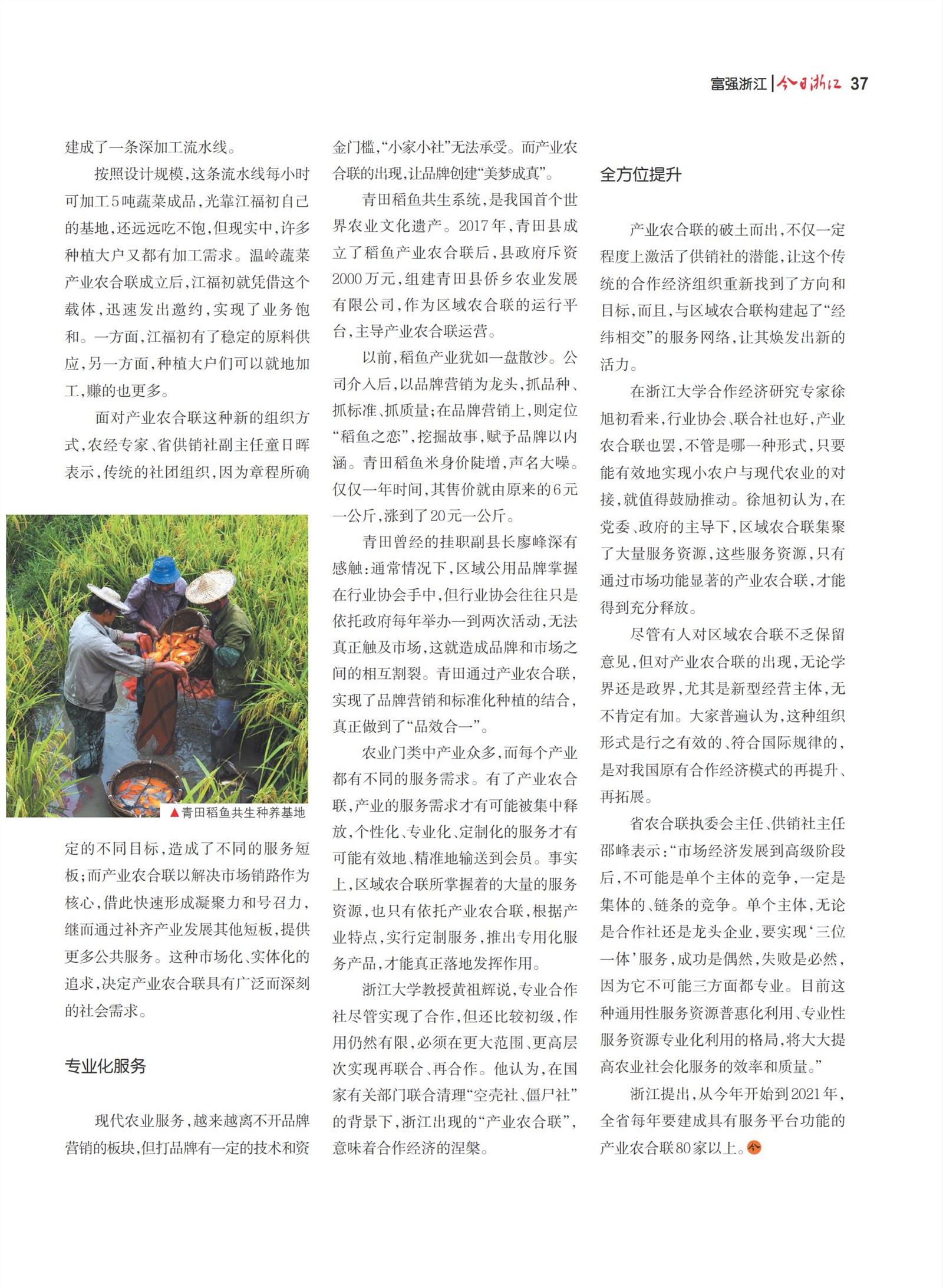 㽭Page 39