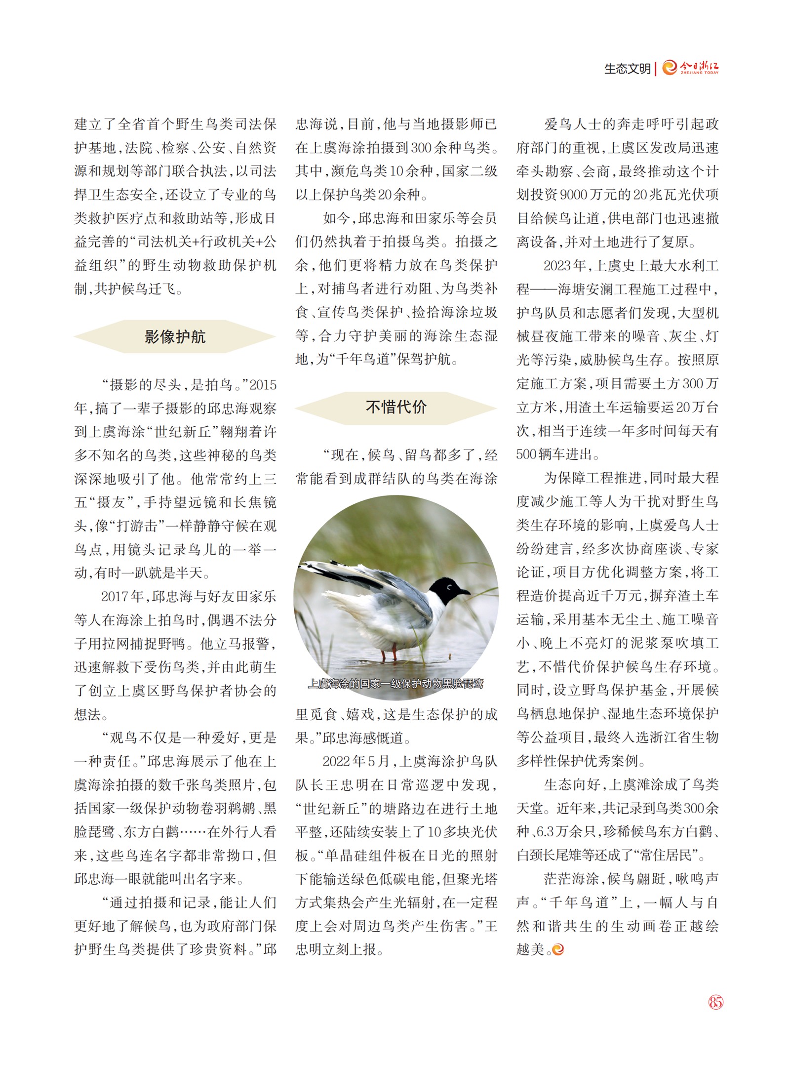 㽭Page 87