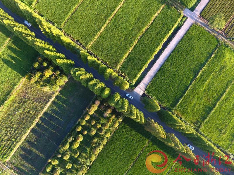 武义：最美公路 风采依旧