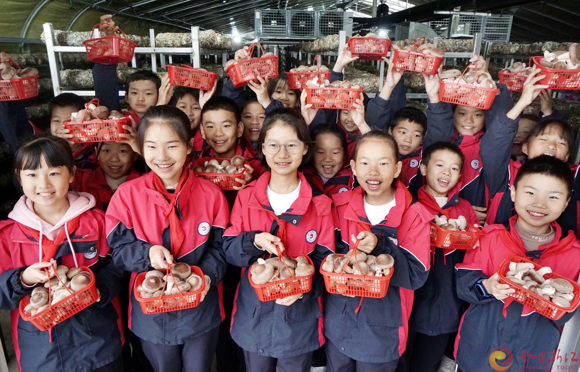 11月24日，武义县三角店小学的小朋友来到创新食用菌基地，跟着技术员学习香菇栽培、体验采菇乐趣。