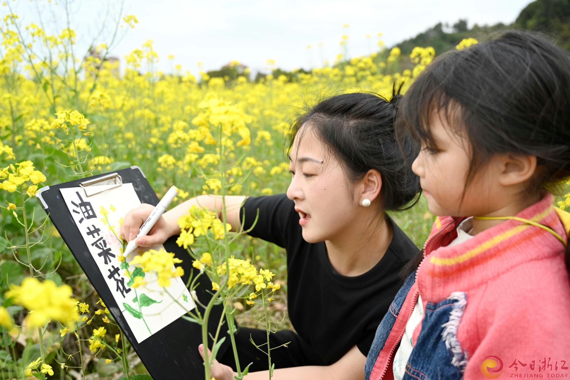 2024年3月23日，武义县南湖村金黄的油菜花海中，一群小朋友在美术老师指导下绘画盛开的油菜花。